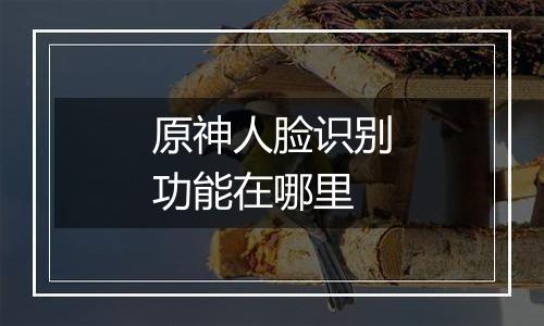 原神人脸识别功能在哪里