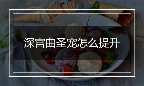 深宫曲圣宠怎么提升