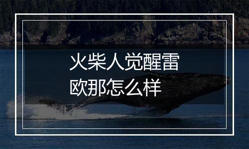 火柴人觉醒雷欧那怎么样