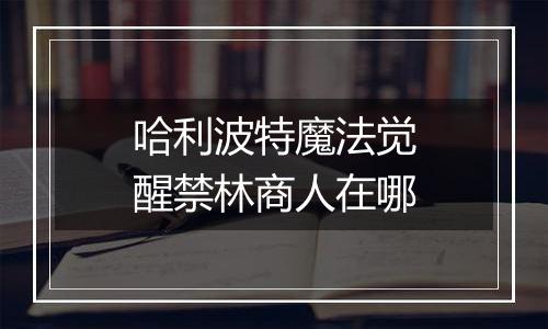 哈利波特魔法觉醒禁林商人在哪