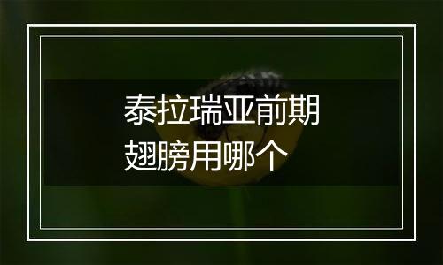 泰拉瑞亚前期翅膀用哪个