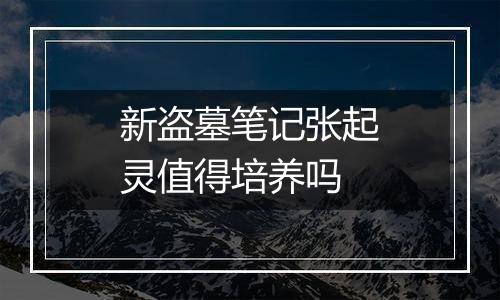 新盗墓笔记张起灵值得培养吗