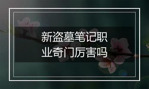 新盗墓笔记职业奇门厉害吗