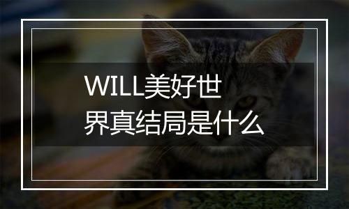 WILL美好世界真结局是什么