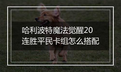 哈利波特魔法觉醒20连胜平民卡组怎么搭配