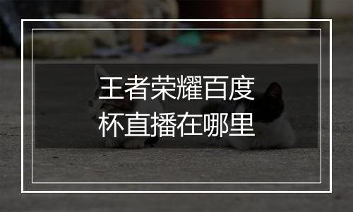 王者荣耀百度杯直播在哪里