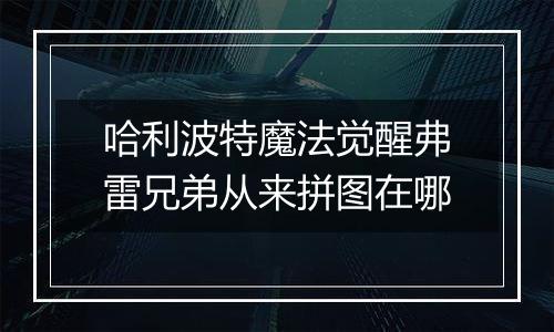 哈利波特魔法觉醒弗雷兄弟从来拼图在哪