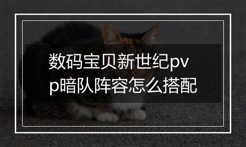 数码宝贝新世纪pvp暗队阵容怎么搭配