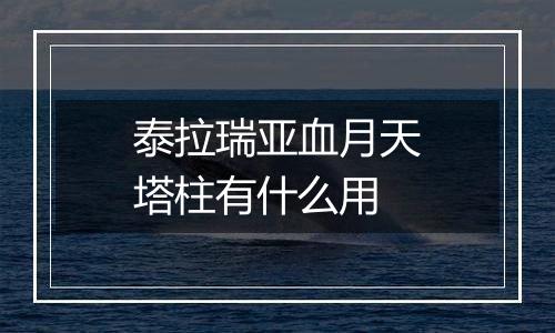 泰拉瑞亚血月天塔柱有什么用