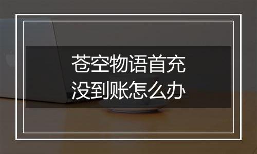 苍空物语首充没到账怎么办