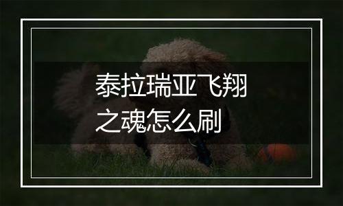 泰拉瑞亚飞翔之魂怎么刷
