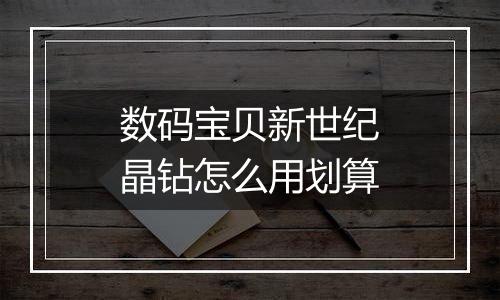 数码宝贝新世纪晶钻怎么用划算