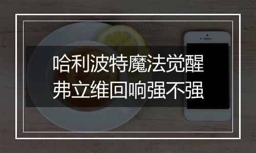 哈利波特魔法觉醒弗立维回响强不强