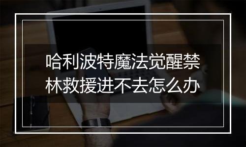 哈利波特魔法觉醒禁林救援进不去怎么办