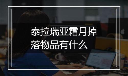 泰拉瑞亚霜月掉落物品有什么