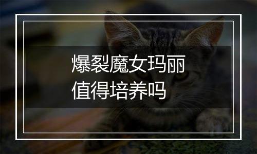 爆裂魔女玛丽值得培养吗