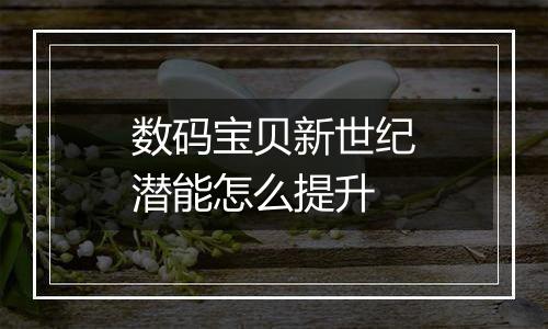数码宝贝新世纪潜能怎么提升