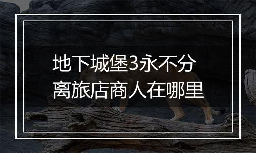 地下城堡3永不分离旅店商人在哪里