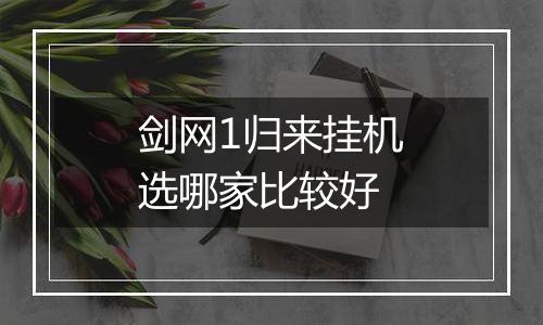 剑网1归来挂机选哪家比较好
