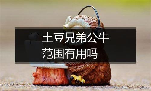 土豆兄弟公牛范围有用吗