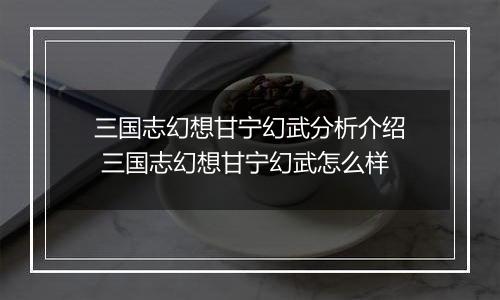 三国志幻想甘宁幻武分析介绍 三国志幻想甘宁幻武怎么样