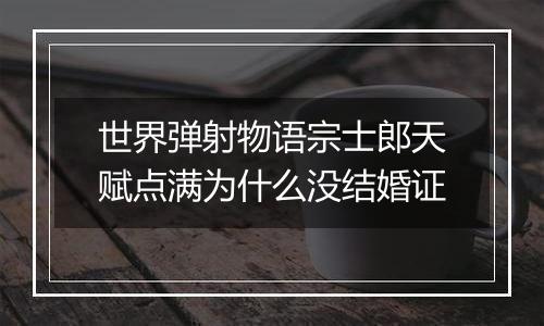 世界弹射物语宗士郎天赋点满为什么没结婚证