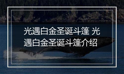 光遇白金圣诞斗篷 光遇白金圣诞斗篷介绍