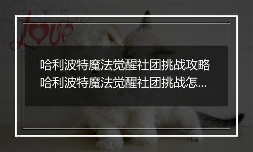 哈利波特魔法觉醒社团挑战攻略 哈利波特魔法觉醒社团挑战怎么玩
