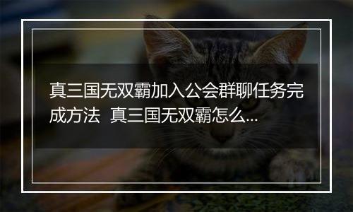 真三国无双霸加入公会群聊任务完成方法  真三国无双霸怎么加入公会群聊