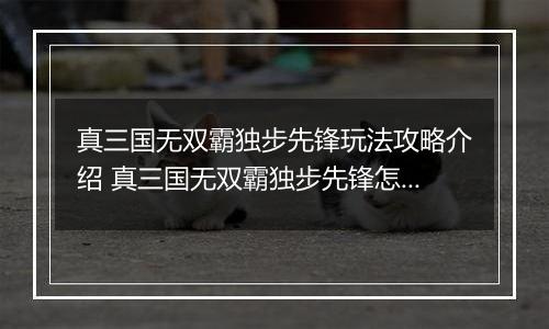 真三国无双霸独步先锋玩法攻略介绍 真三国无双霸独步先锋怎么玩