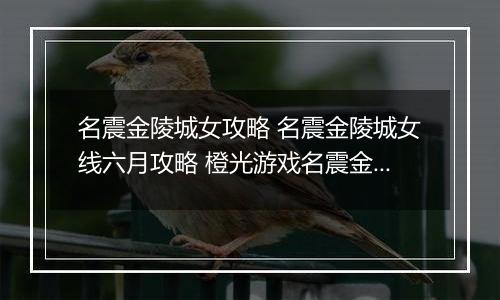 名震金陵城女攻略 名震金陵城女线六月攻略 橙光游戏名震金陵城女主养成攻略