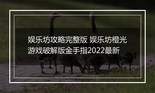 娱乐坊攻略完整版 娱乐坊橙光游戏破解版金手指2022最新
