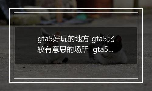 gta5好玩的地方 gta5比较有意思的场所  gta5里面的福利地点