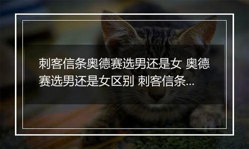 刺客信条奥德赛选男还是女 奥德赛选男还是女区别 刺客信条奥德赛啪妹子有画面