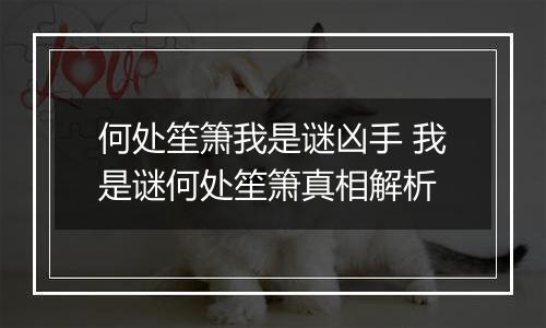 何处笙箫我是谜凶手 我是谜何处笙箫真相解析