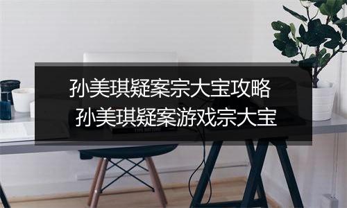 孙美琪疑案宗大宝攻略  孙美琪疑案游戏宗大宝