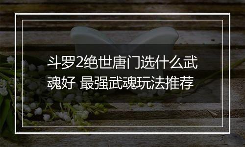斗罗2绝世唐门选什么武魂好 最强武魂玩法推荐