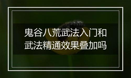 鬼谷八荒武法入门和武法精通效果叠加吗
