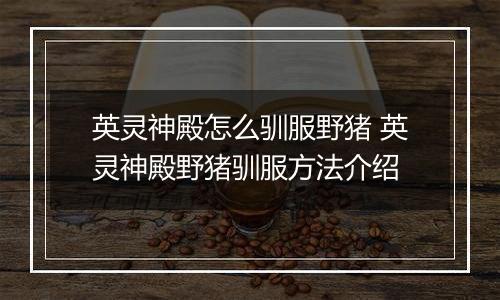 英灵神殿怎么驯服野猪 英灵神殿野猪驯服方法介绍