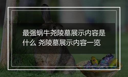 最强蜗牛尧陵墓展示内容是什么 尧陵墓展示内容一览