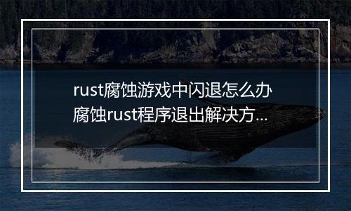 rust腐蚀游戏中闪退怎么办 腐蚀rust程序退出解决方法