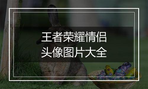 王者荣耀情侣头像图片大全