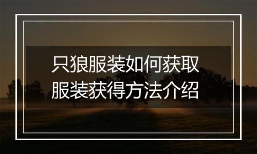 只狼服装如何获取 服装获得方法介绍