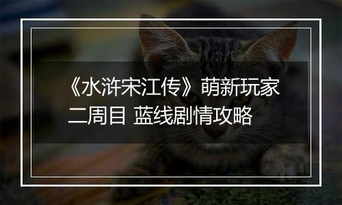 《水浒宋江传》萌新玩家 二周目 蓝线剧情攻略