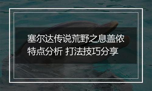 塞尔达传说荒野之息盖侬特点分析 打法技巧分享