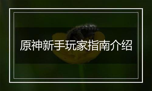 原神新手玩家指南介绍