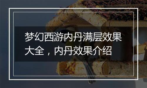 梦幻西游内丹满层效果大全，内丹效果介绍