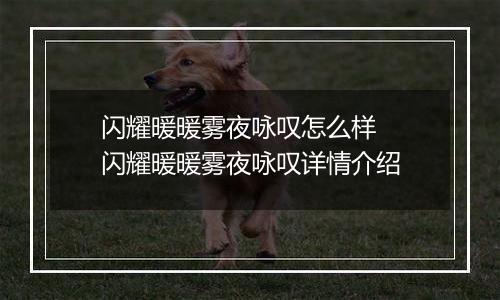 闪耀暖暖雾夜咏叹怎么样  闪耀暖暖雾夜咏叹详情介绍