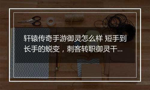 轩辕传奇手游御灵怎么样 短手到长手的蜕变，刺客转职御灵干货起底