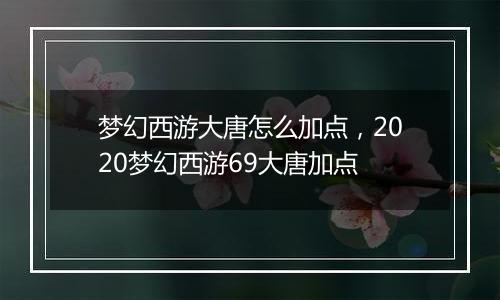 梦幻西游大唐怎么加点，2020梦幻西游69大唐加点